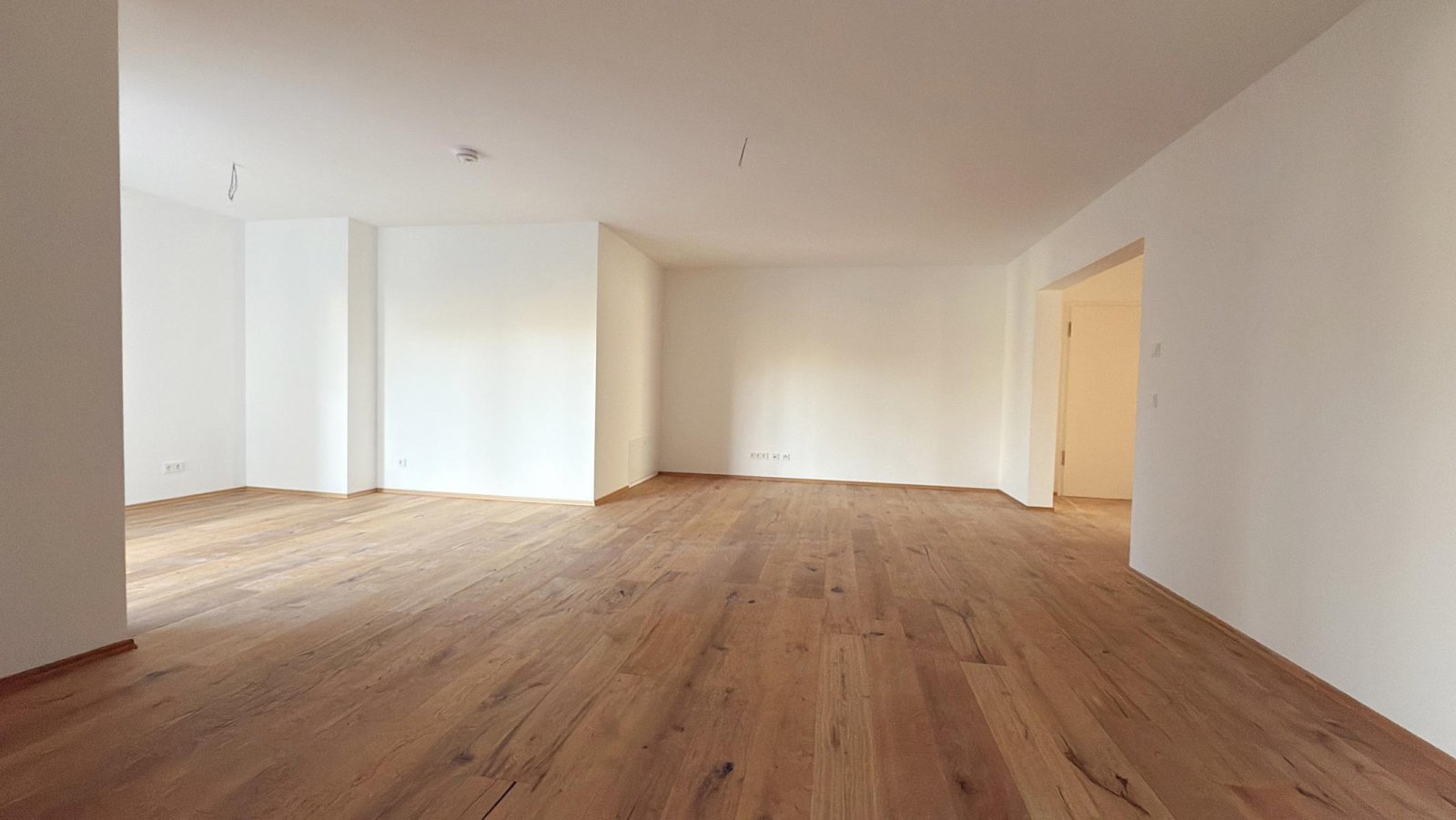 VERMIETET: ** NEUBAU- ERSTBEZUG ** am Park ** 5-RAUM WE ** große Terrasse ** Gartenanteil ** Einbauküche **