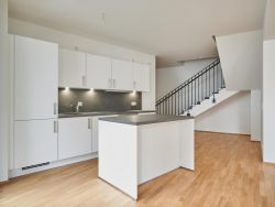 Küche mit EBK