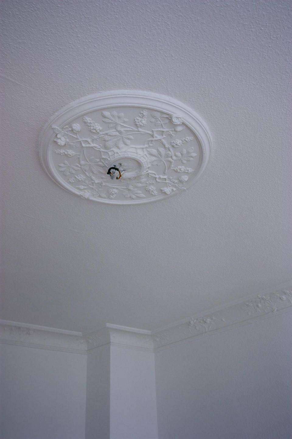 Wohnzimmer mit Stuck (Referenzwohnung im Haus)