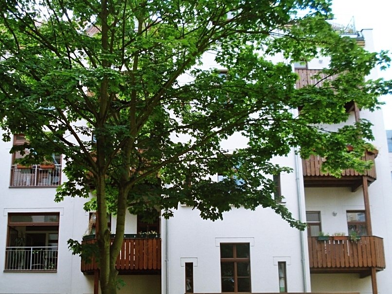 Hausansicht Hausansicht