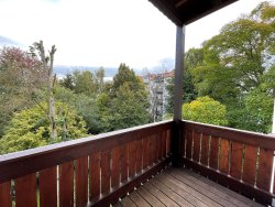 Blick vom Balkon ins Grün