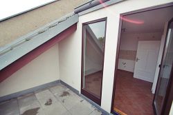 Dachloggia Dachloggia