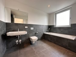 Masterbad mit Dusche + Wanne Masterbad mit Dusche + Wanne