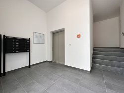 sehr gepflegtes Treppenhaus sehr gepflegtes Treppenhaus